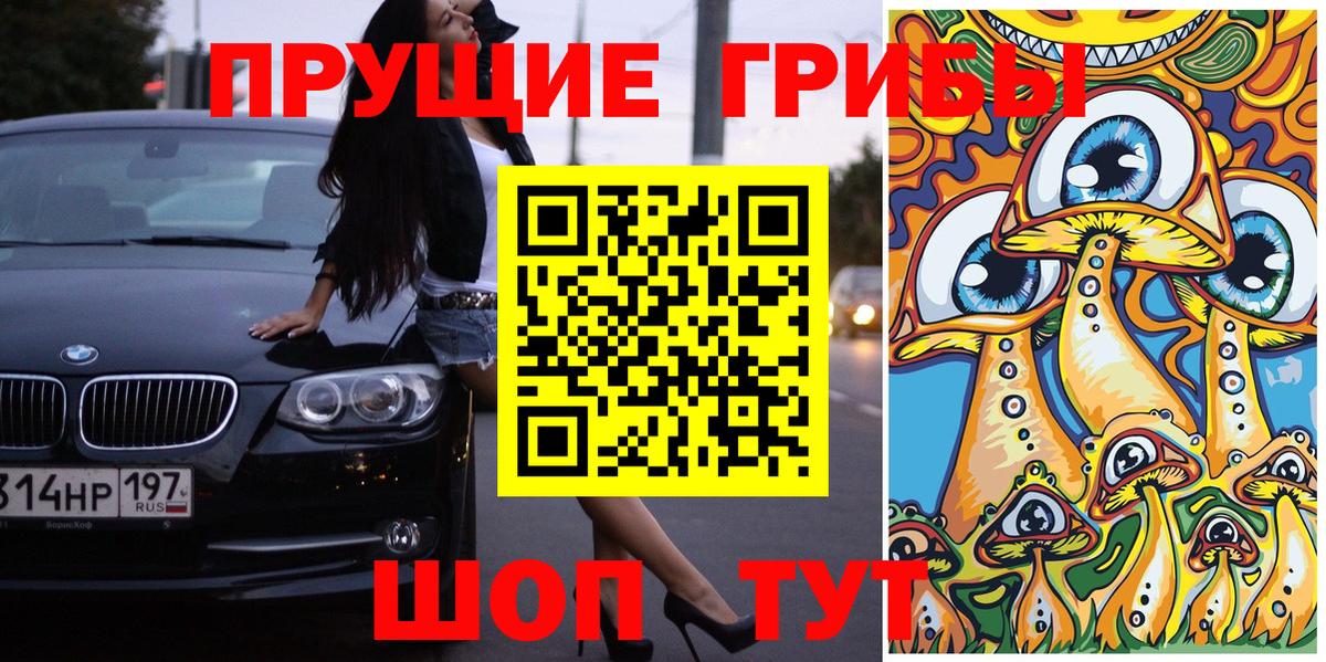 Бердск  Псилоцибиновые грибы Magic Shrooms  как найти закладки  Вход с VPN  Псилоцибиновые грибы Magic Shrooms 