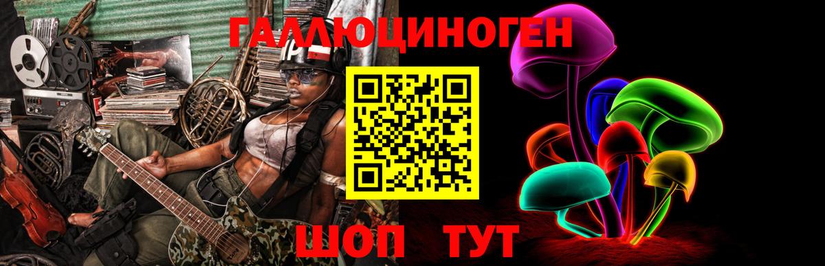 Псилоцибиновые грибы GOLDEN TEACHER Бердск